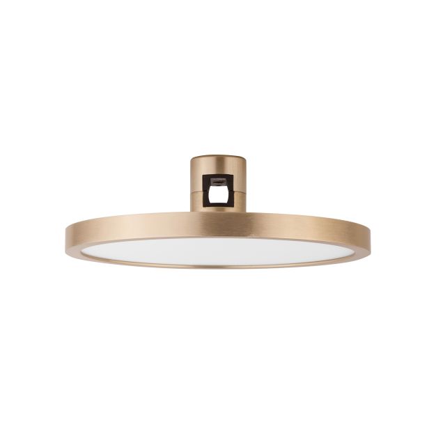 Nova Luce Art - Lichtpunkt Magnetschienensystem - Ø 16 x 5 cm - 15W LED inkl. - satiniert gold