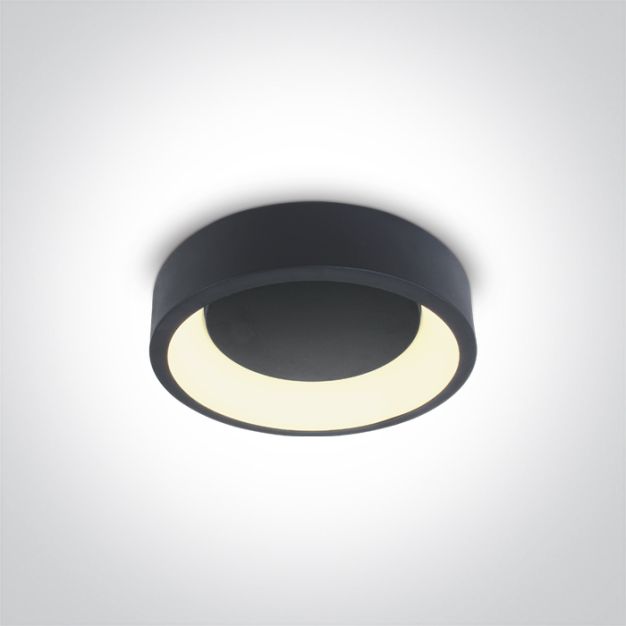 ONE Light LED Dekorative Plafo Round CCT V - Deckenleuchte - Ø 30 x 8 cm - 20W LED inkl. - anthrazit