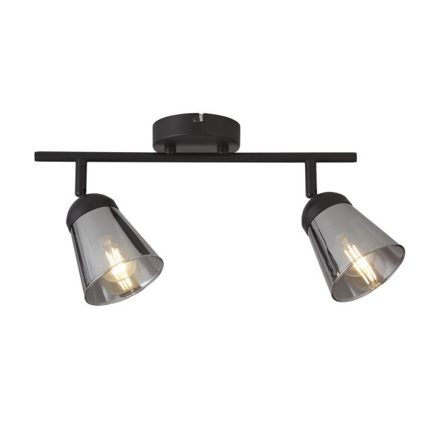 Searchlight Mega - Aufbaustrahler 2L - 50 x 20 cm - schwarz und Rauchglas