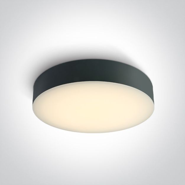 ONE Light IP65 CCT V - Deckenleuchte - Ø 32 x 6,2 cm - 20W LED inkl. - IP65 - anthrazit