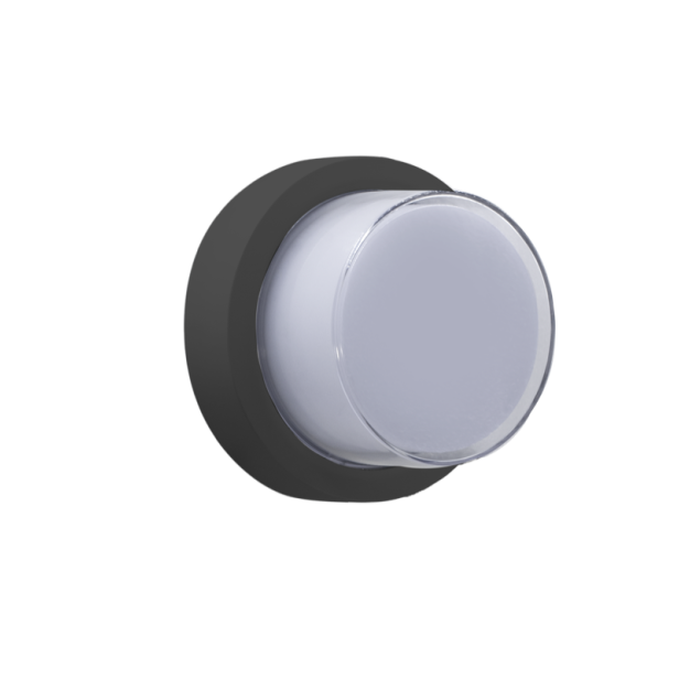 Century Italia Pura - Wand-/Deckenleuchte - Ø 17 x 10 cm - 10W LED inkl. - IP65 - anthrazit