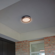 Lutec Rola - Außen-Decken-/Wandleuchte - Ø 18,3 x 4,8 cm - 13W LED inkl. - IP54 - dunkelgrau
