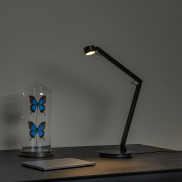 Lucide Ogden - Tischleuchte - 49 x 20 x 90 cm - 6W dimmbare LED inkl. - schwarz
