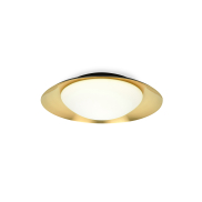 Faro Side - Wand-/Deckenleuchte - Ø 39 x 11 cm - 15W LED inkl. - schwarz und gold