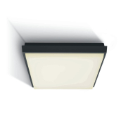 ONE Light Outdoor Slim LED - Außen-Deckenleuchte - 23,8 x 23,8 x 4,6 cm - 25W LED inkl. - IP54 - anthrazit