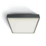 ONE Light LED Plafo Outdoor Square - Außen-Deckenleuchte - 22,1 x 22,1 x 5,7 cm - 16W LED inkl. - IP65 - anthrazit