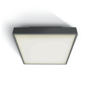 ONE Light E27 Plafo Outdoor Square - Deckenleuchte für den Außenbereich - 29,5 x 29,5 x 10,5 cm - IP65 - anthrazit