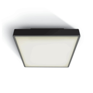 ONE Light E27 Plafo Outdoor Square - Deckenleuchte für den Außenbereich - 22,1 x 22,1 x 9,3 cm - IP65 - schwarz