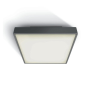 ONE Light E27 Plafo Outdoor Square - Deckenleuchte für den Außenbereich - 22,1 x 22,1 x 9,3 cm - IP65 - anthrazit
