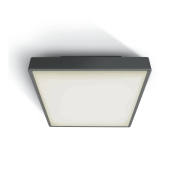 ONE Light LED Plafo Outdoor Square - Außen-Deckenleuchte - 29,5 x 29,5 x 8 cm - 24W LED inkl. - IP65 - anthrazit