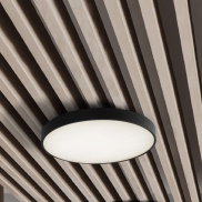Nova Luce Perfect Profile - Deckenleuchte mit Fernbedienung (inkl.) - Ø 60 x 10 cm - 40W dimmbare LED inkl. - 2700K-6000K - schwarz