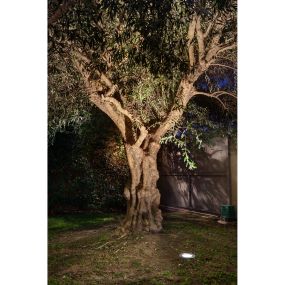 Faro Salt Asimetric - runder Bodenspot für den Außenbereich - Ø 180 mm, Ø 170 mm Einbaumaß - inkl. 9W LED - IP67 - Edelstahl mattiert