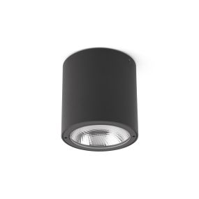 Faro Goz - Aufbaustrahler 1L - Ø 9 x 9 cm - 9W LED inkl. - IP65 - dunkelgrau