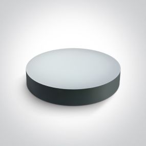 ONE Light IP65 CCT V - Deckenleuchte - Ø 32 x 6,2 cm - 20W LED inkl. - IP65 - anthrazit