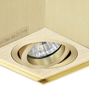 Zuma Line Quadro – Aufbau-Spot 1-flammig – 9 x 12 cm – gebürstetes Gold