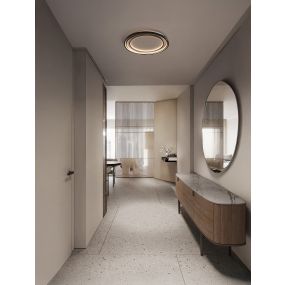 Nova Luce Arbor - Deckenleuchte - 54 x 50 x 8 cm - 33W dimmbar LED inkl. - matt schwarz
