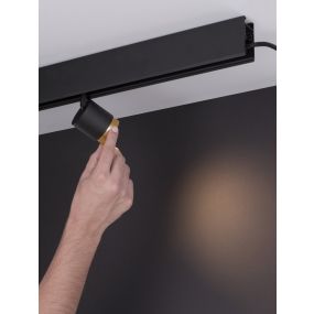 Nova Luce Ultra Slim - Stromschienenstrahler - Abstrahlwinkel einstellbar von 15 bis 36 Grad - Ø 4,5 cm - 5W DALI dimmbare LED inkl. - schwarz und gold
