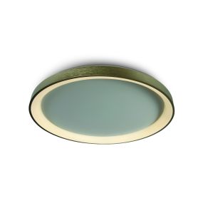 ONE Light LED Dekorativ - Deckenleuchte - Ø 58 x 5,7 cm - 48W LED inkl. - gebürstetes Gold