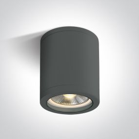 ONE Light PAR30 Outdoor - Aufbaustrahler 1L - Ø 12,2 x 16 cm - IP65 - anthrazit