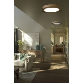 Faro Tender - Deckenleuchte - Ø 45 x 8,2 cm - 24W LED inkl. - schwarz und braun