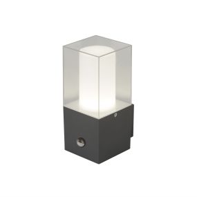 Searchlight Kinloch - Außenwandleuchte mit Sensor - 10 x 10 x 23 cm - IP44 - dunkelgrau