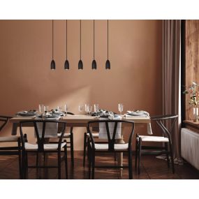 Lucide Evora 5L - Pendelleuchte - 100 x 8 x 150 cm - schwarz