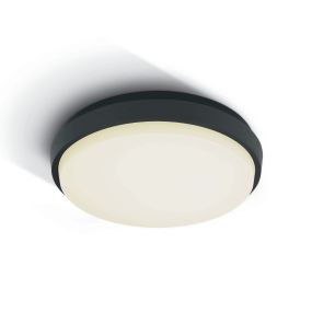 ONE Light Outdoor Slim LED - Außen-Deckenleuchte - Ø 23,8 x 4,6 cm - 20W LED inkl. - IP54 - anthrazit