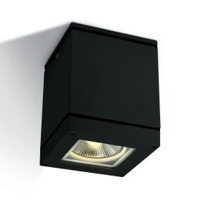 ONE Light PAR30 Outdoor Cubes - Deckenleuchte für den Außenbereich - 10,8 x 10,8 x 14 cm - IP54 - schwarz