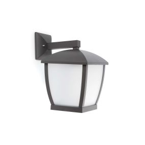 Faro Wilma - Wandleuchte - 22,5 x 31 x 32cm - IP44 - dunkelgrau