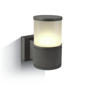 ONE Light E27 Tube Lights - Außenwandleuchten - 10,7 x 21 cm - IP54 - anthrazit