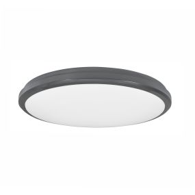 Nova Luce Tommy - Außen-Deckenleuchte - Ø 32 x 6 cm - 30W LED inkl. - IP54 - dunkelgrau und weiß