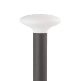 Faro Blub's - Gartenleuchte - Ø 26 x 54 cm - IP44 - dunkelgrau