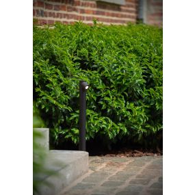 Lucide Ibamba - Gartenleuchte - 8 x 8,3 x 60 cm - 6W LED inkl. - IP65 - schwarz