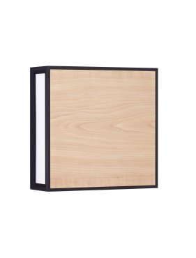 Nova Luce Astral - Wand- und Deckenleuchte für den Außenbereich - 22 x 22 x 8,7 cm - 16W LED inkl. - IP65 - dunkel anthrazit und holz