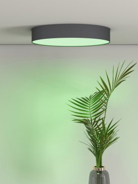 Calex Smart Deckenleuchte – Dimmfunktion und einstellbare Lichtfarbe per App – Ø 30 x 6,5 cm – 16W LED inkl. – schwarz