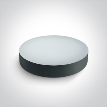 ONE Light IP65 CCT V - Deckenleuchte - Ø 32 x 6,2 cm - 20W LED inkl. - IP65 - anthrazit