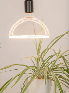Segula LED-Lampe - Floating Bowl - Ø 20 x 15 cm - E27 - 6,2W dimmbar - dimmbar auf warm 2000 bis 2700K - transparent