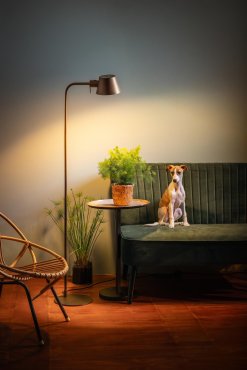 ETH Dex - stehlampe - Ø 15,5 x 145 cm - Braun
