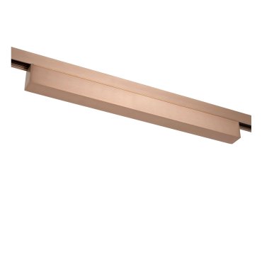 Lucide Linial - LED-Treiber für magnetische Schiene - 48V - nicht dimmbar - 200W - Champagner