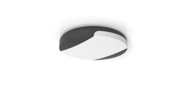 Lutec Sweep - Außen-Deckenleuchte - Ø 26 x 5,5 cm - 23,5W LED inkl. - IP54 - dunkelgrau