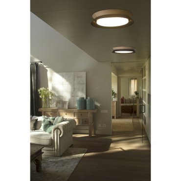 Faro Tender - Deckenleuchte - Ø 45 x 8,2 cm - 24W LED inkl. - schwarz und braun