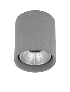 Nova Luce Ritz - Deckenleuchte für den Außenbereich - Ø 10,2 x 12 cm - 10W LED inkl. - IP65 - grau