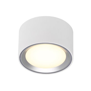 Nordlux Fallon - Aufbaustrahler 1L - Ø 10 cm - 4 Stufen Moodmaker Funktion - 5,5W dimmbare LED inkl. - weiß und gebürsteter Stahl