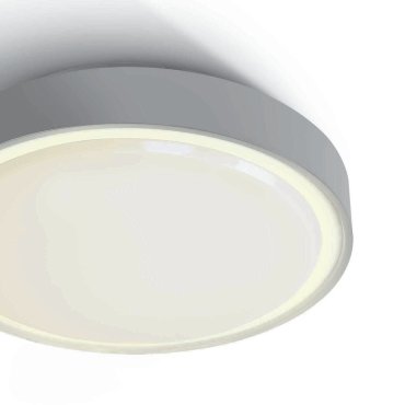 ONE Light Emergency LED Plafo - Außen-Deckenleuchte - Ø 30 x 7,5 cm - 15W LED inkl. - IP65 - grau