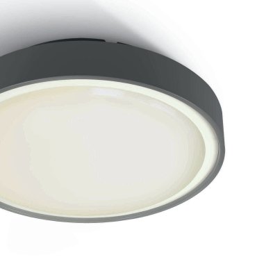 ONE Light LED Plafo Outdoor Round - Außen-Deckenleuchte - Ø 30 x 8,3 cm - 24W LED inkl. - IP65 - anthrazit