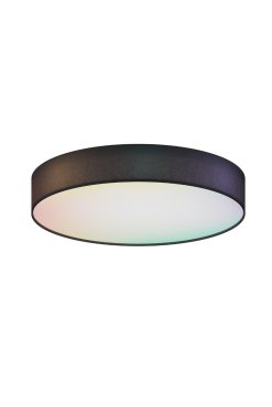 Calex Smart Deckenleuchte – Dimmfunktion und einstellbare Lichtfarbe per App – Ø 30 x 6,5 cm – 16W LED inkl. – schwarz