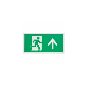 Integral LED Slim Line - Notausgangsschild - 39,4 x 19,5 x 2,6 cm - LED 1,5 W inklusive - Grün