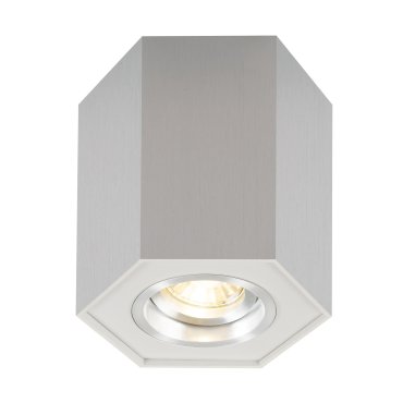 Zuma Line Polygon CL R- Aufbaustrahler 1L - 12 cm - silber