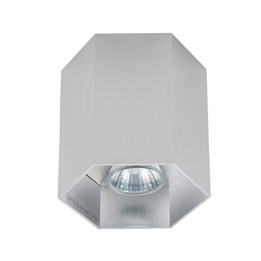 Zuma Line Polygon CL 1L - Aufbaustrahler 1L - 15 cm - silber