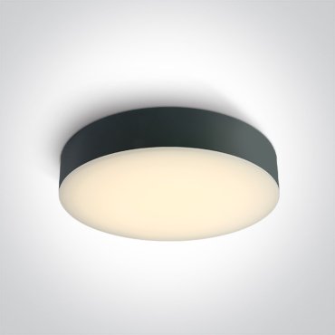 ONE Light IP65 CCT V - Deckenleuchte - Ø 32 x 6,2 cm - 20W LED inkl. - IP65 - anthrazit